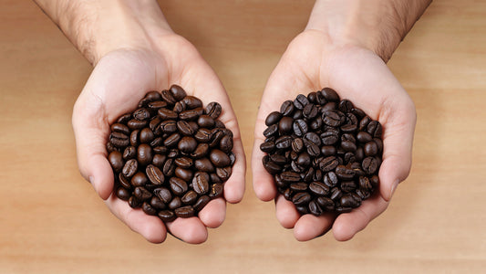 Arabica vs Robusta